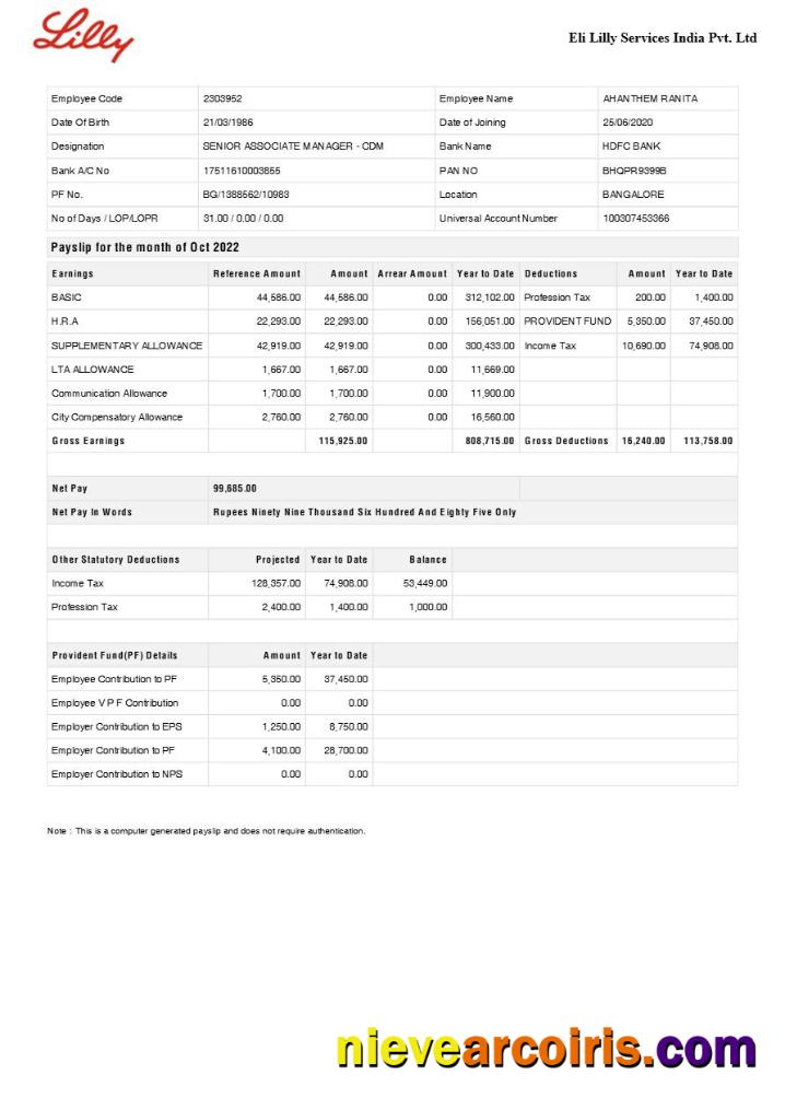 Eli Lilly Services India pharmaceutical company payslip